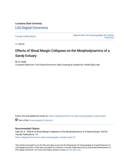 Effects of Shoal Margin Collapses on the Morphodynamics of a Sandy Estuary