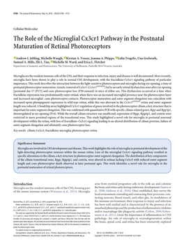 The Role of the Microglial Cx3cr1 Pathway in the Postnatal Maturation of Retinal Photoreceptors