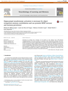 Hippocampal Noradrenergic Activation Is Necessary for Object Recognition Memory Consolidation and Can Promote BDNF Increase and Memory Persistence