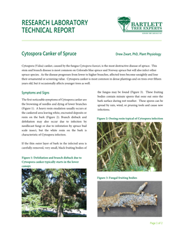 Cytospora Canker of Spruce Drew Zwart, Phd, Plant Physiology