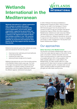 Wetlands International in the Mediterranean