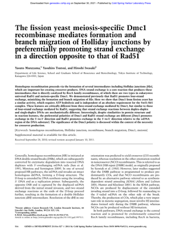 The Fission Yeast Meiosis-Specific Dmc1 Recombinase Mediates