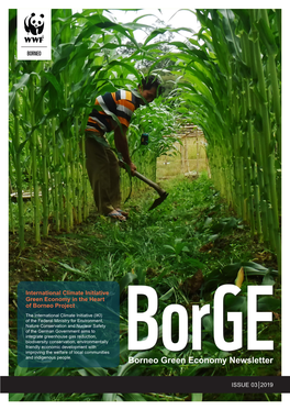 Borneo Green Economy Newsletter