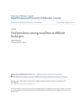 Viral Prevalence Among Social Bees in Different Landscapes Tugce Karacoban University of Nebraska - Lincoln