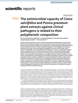 The Antimicrobial Capacity of Cistus Salviifolius and Punica Granatum