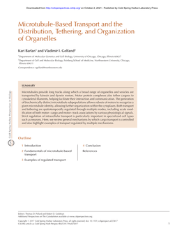 Microtubule-Based Transport and the Distribution, Tethering, and Organization of Organelles