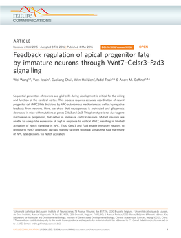 Feedback Regulation of Apical Progenitor Fate by Immature Neurons Through Wnt7–Celsr3–Fzd3 Signalling