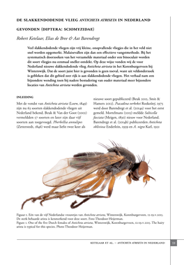 De Slakkendodende Vlieg Anticheta Atriseta in Nederland Gevonden (Diptera: Sciomyzidae)