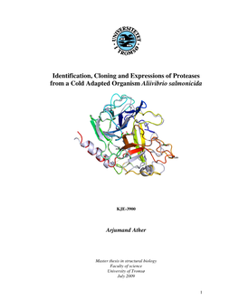 Identification, Cloning and Expressions of Proteases from a Cold Adapted Organism Aliivibrio Salmonicida