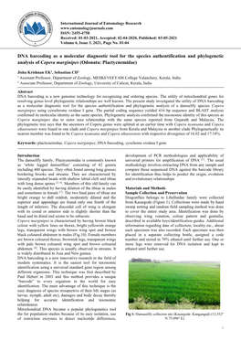 DNA Barcoding As a Molecular Diagnostic Tool for the Species Authentification and Phylogenetic Analysis of Copera Marginipes (Odonata: Plactycnemidae)