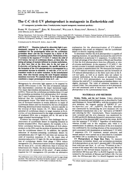 The C-C (6-4) UV Photoproduct Is Mutagenic in Escherichia Coli (UV Mutagenesis/Pyrimidine Dimer/5-Methylcytosine/Targeted Mutagenesis/Mutational Specificity) BARRY W