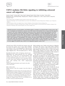 USP33 Mediates Slitrobo Signaling in Inhibiting Colorectal Cancer Cell