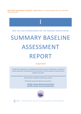 Summary Baseline Assessment Report