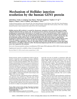 Mechanism of Holliday Junction Resolution by the Human GEN1 Protein