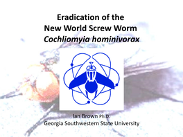 Eradication of the New World Screw Worm Cochliomyia Hominivorax