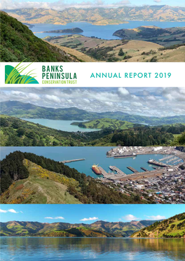 Annual Report 2019 Annual Report and Financial Statements Contents for the 12 Months Ended 31 March 2019