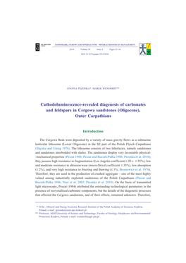 Cathodoluminescence-Revealed Diagenesis of Carbonates and Feldspars in Cergowa Sandstones (Oligocene), Outer Carpathians