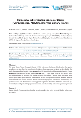 Three New Subterranean Species of Baezia (Curculionidae, Molytinae) for the Canary Islands