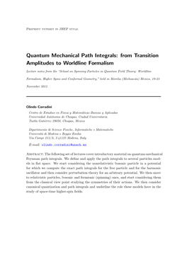 Quantum Mechanical Path Integrals: from Transition Amplitudes to Worldline Formalism