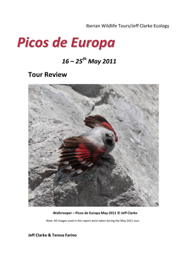 Picos De Europa Trip Report 2011