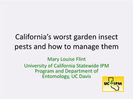 California's Worst Garden Insect Pests and How to Manage Them