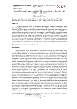 Oriental Hornet (Vespa Orientalis) As AFB Disease Vector to Honeybee (Apis Mellifera L.) Colonies