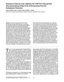 Retention of Glucose Units Added by the UDP-GLC:Glycoprotein Glucosyltransferase Delays Exit of Glycoproteins from the Endoplasmic Reticulum Carlos Labriola, Juan J