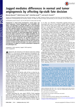 Jagged Mediates Differences in Normal and Tumor Angiogenesis by Affecting Tip-Stalk Fate Decision