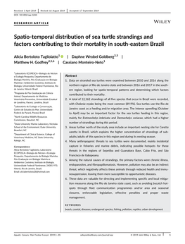 Spatio‐Temporal Distribution of Sea Turtle Strandings and Factors