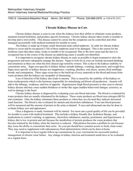 Chronic Kidney Disease in Cats