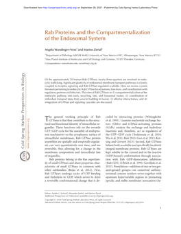 Rab Proteins and the Compartmentalization of the Endosomal System