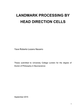 Landmark Processing by Head Direction Cells