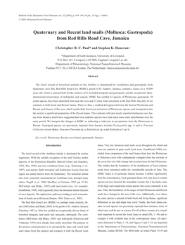 Quaternary and Recent Land Snails (Mollusca: Gastropoda) from Red Hills Road Cave, Jamaica