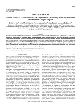 Sperm-Attractant Peptide Influences the Spermatozoa Swimming Behavior in Internal Fertilization in Octopus Vulgaris