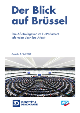 Ihre Afd-Delegation Im EU-Parlament Informiert Über Ihre Arbeit