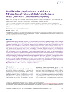 Candidatus Dactylopiibacterium Carminicum, a Nitrogen-Fixing Symbiont of Dactylopius Cochineal Insects (Hemiptera: Coccoidea: Dactylopiidae)