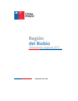 Ficha De Información Estadística Y Económica De La Región Del Biobío