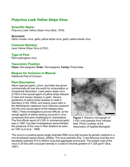 Potyvirus Leek Yellow Stripe Virus