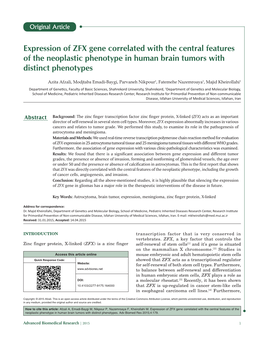 Expression of ZFX Gene Correlated with the Central Features of the Neoplastic Phenotype in Human Brain Tumors with Distinct Phenotypes