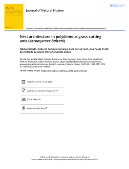 Nest Architecture in Polydomous Grass-Cutting Ants (Acromyrmex Balzani)