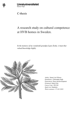 A Research Study on Cultural Competence at HVB Homes in Sweden