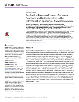 Replication Protein a Presents Canonical Functions and Is Also Involved in the Differentiation Capacity of Trypanosoma Cruzi