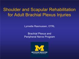 Shoulder and Scapular Rehabilitation for Adult Brachial Plexus Injuries