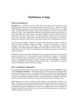 Chylothorax in Dogs