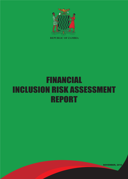Financial Inclusion Risk Assessment Report
