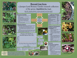 Beyond Cast Iron: a World-Renowned Collection of the Genus Aspidistra In