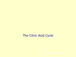 Citric Acid Cycle