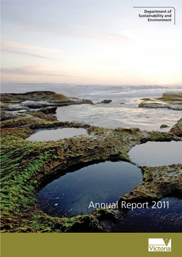 Annual Report 2011 Accountable Ofﬁcer’S Declaration