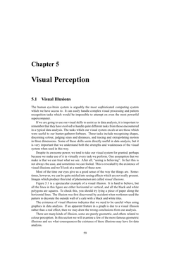 Visual Perception