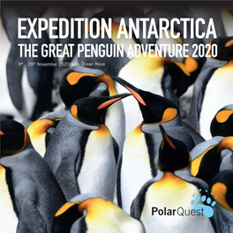 THE GREAT PENGUIN ADVENTURE 2020 9Th - 29Th November 2020 with Ocean Nova